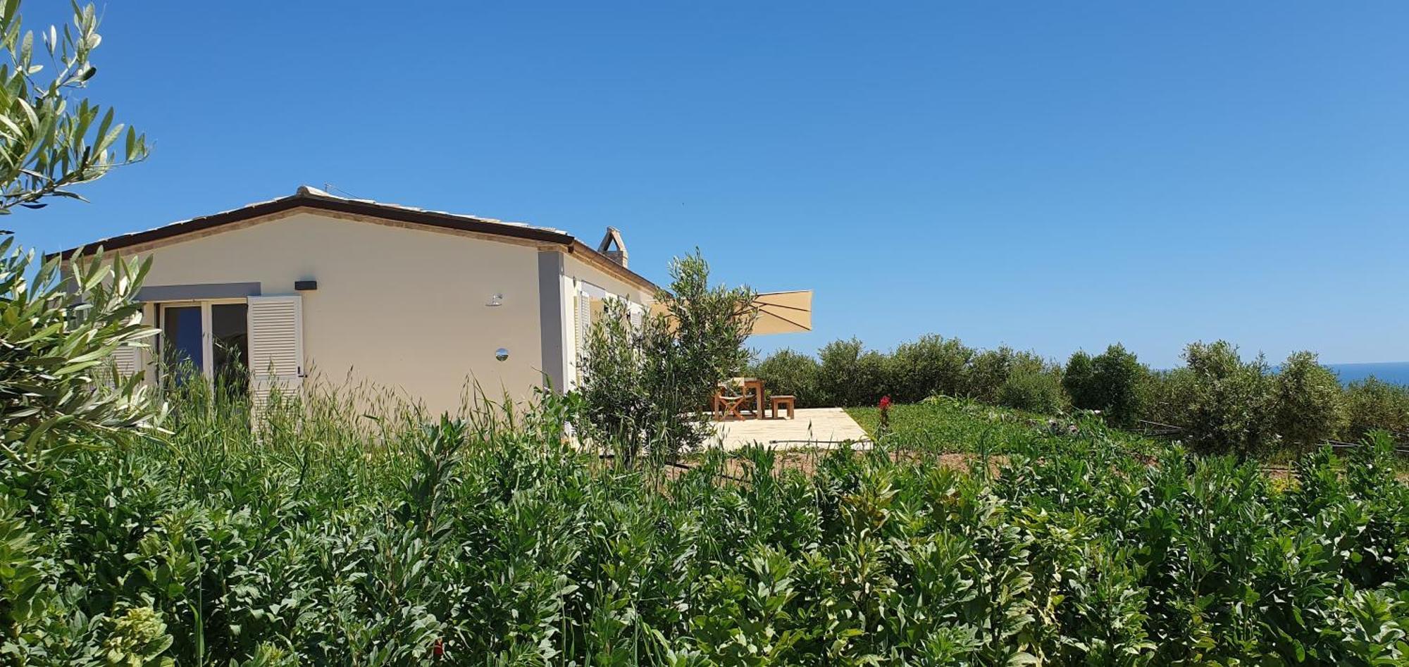 Agriturismo Mondomini Campofilone Eksteriør bilde